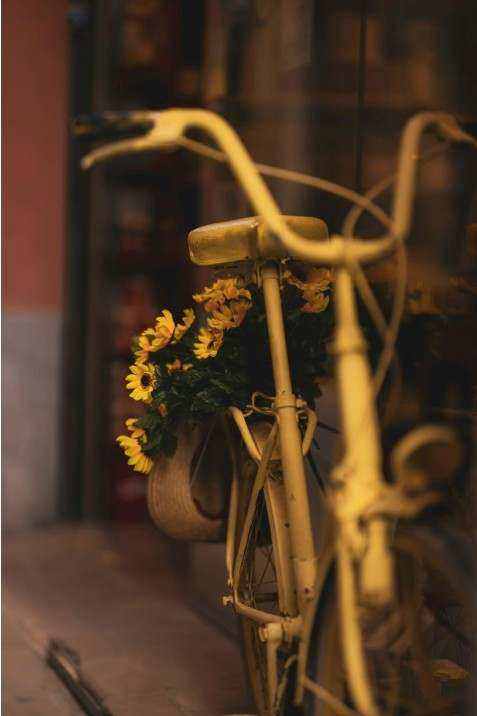 Floral arch