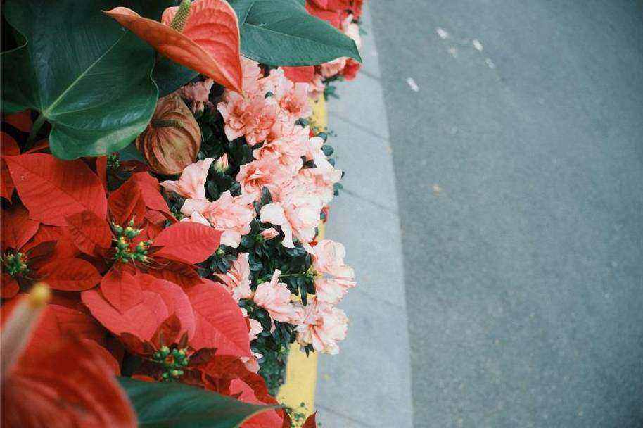 Boutonniere and details