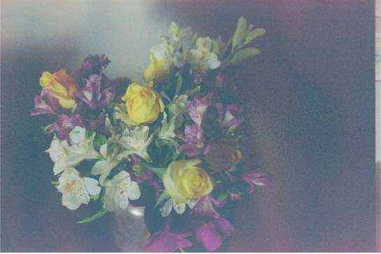 Team installing floral rigging at a large venue