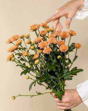 Bouquet 1